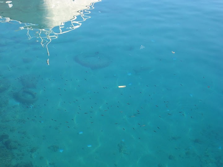 可以看到船的倒影