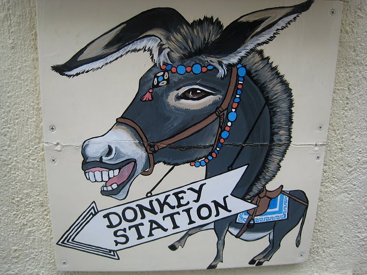 Donkey Station