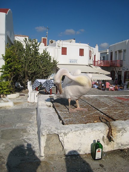 食食下飯突然出現