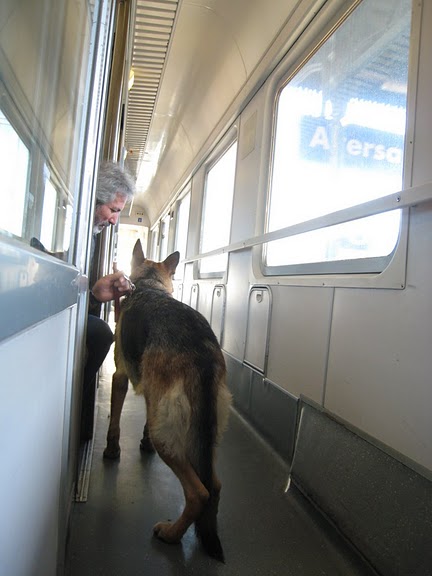 往 Rome 火車上認識的朋友