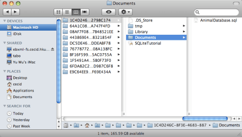 iphone_simulator_database_cache