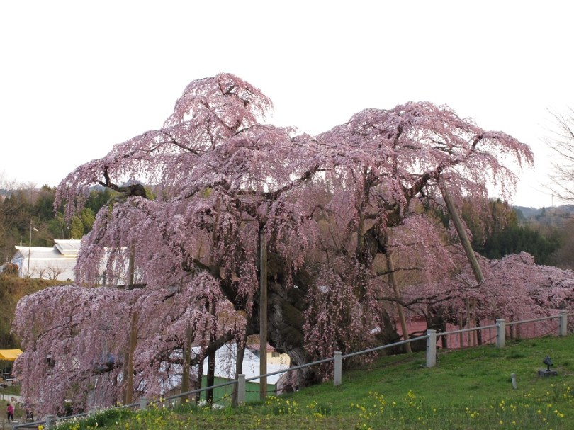 這可不是名信片啊