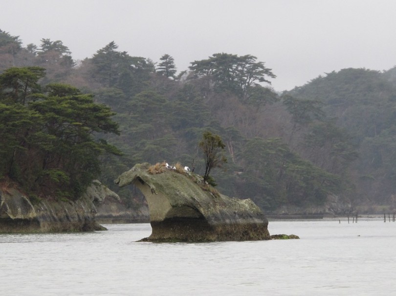 這些島都是海鷗的天下