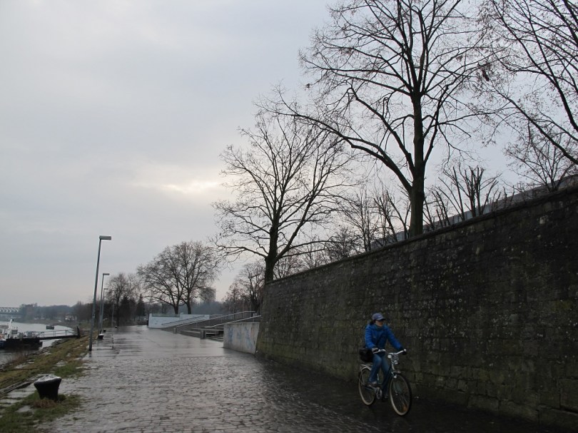 旅館外的萊茵河畔