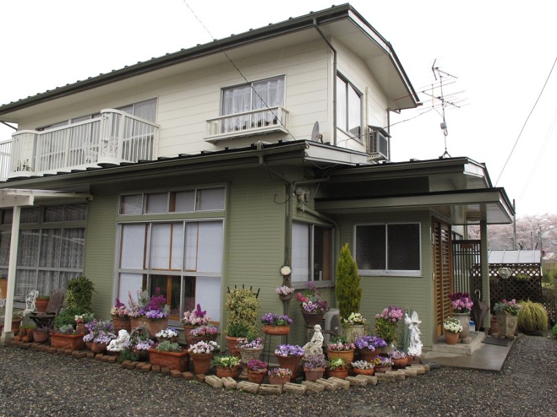 很漂亮的民房花園