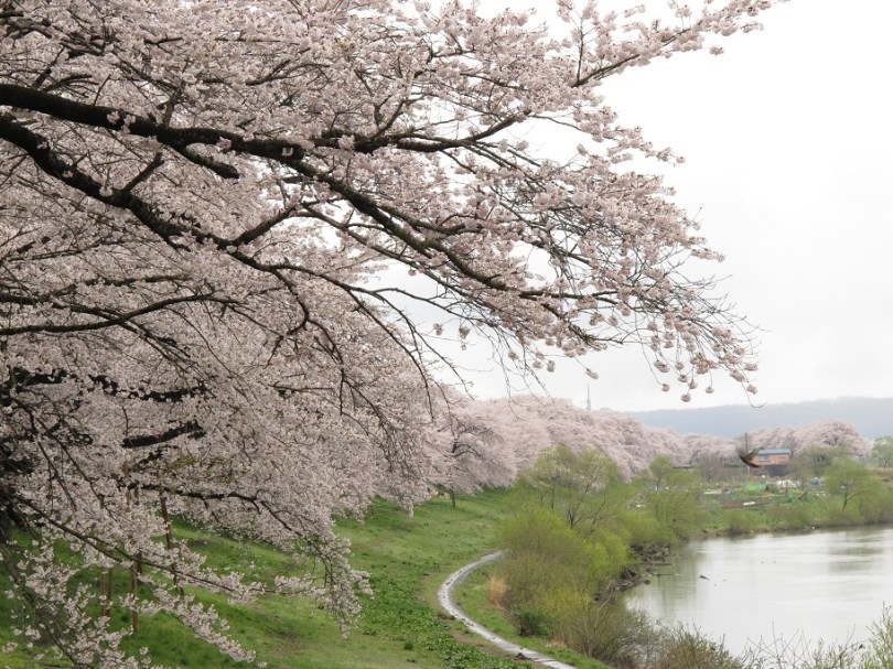 河的曲線構成如此美景