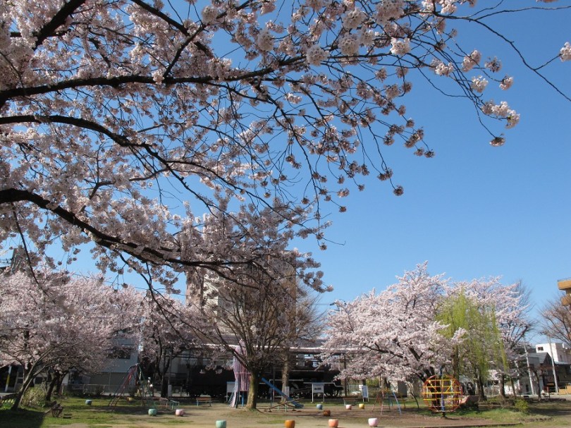 公園內有一列火車車箱