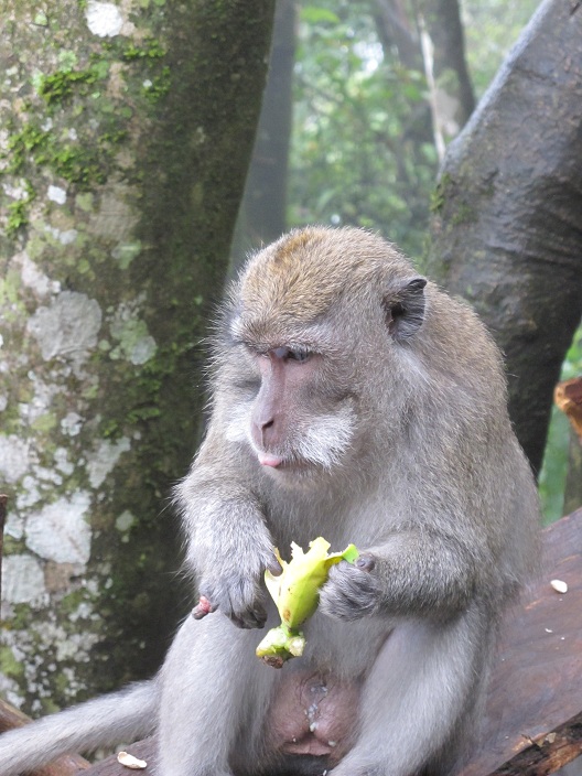 心事重重的樣子