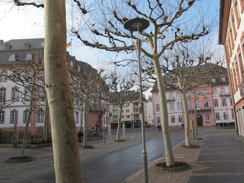 我覺得這裡才是人住的地方