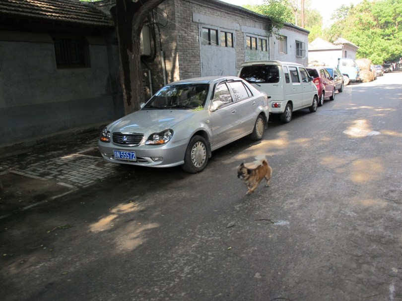 寧靜的帽兒胡同