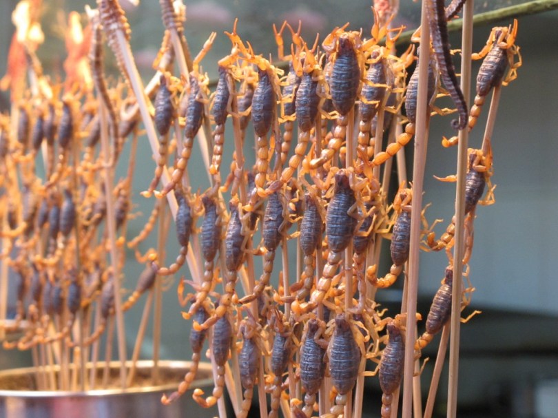 其實有d野係唔需要試...