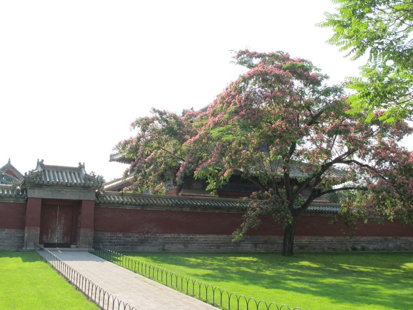 天壇公圖內某個寧靜的地方