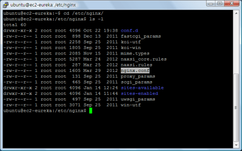 nginx-installation-1