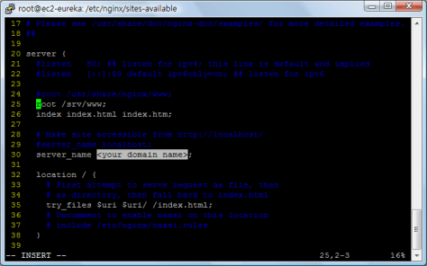 nginx-installation-2